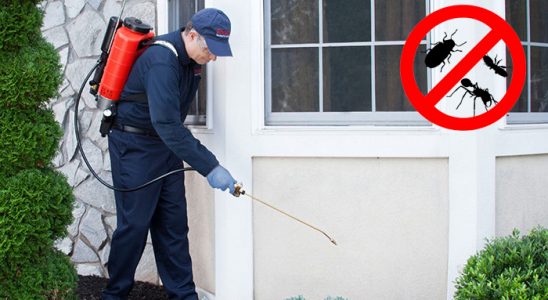 Gürün Hamam Böceği İlaçlama böcek ilaçlama ve haşere kontrolü — ilaclama-tr.com
